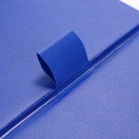 齐心(Comix) TR19 办公必备双折式板夹 A4 直条纹 蓝色